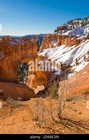 Bryce-Canyon-Nationalpark, Utah, USA Stockfoto