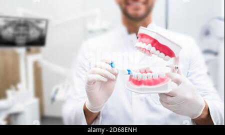 Zahnarzt Lehre Right Way Zähneputzen mit menschlichen Zähnen Modell in einer Zahnklinik, Nahaufnahme. Stomatologe wird Ihnen beibringen, wie Sie Ihre Zähne putzen. Stockfoto