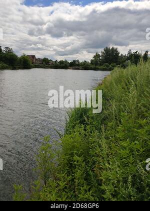 Ein großes Flussbett mit Gras und Bäumen im Sommer Stockfoto