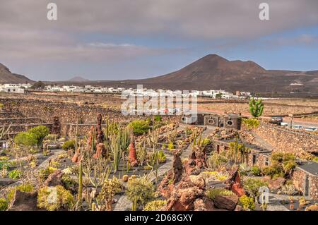 Kakteengarten auf Lanzarote Stockfoto