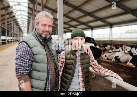 Porträt eines lächelnden bärtigen Bauern und seines Teenagersohns stehend Im zeitgenössischen Kuhstall und der Zusammenarbeit Stockfoto