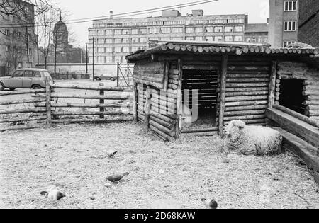 Der Hof neben der Mauer (West-Berlin) Stockfoto