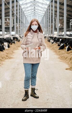 Portrait der Bäuerin in Maske und Weste stehend mit Tablette und Analyse der Milchproduktion auf dem Bauernhof Stockfoto