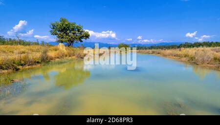 Feuchtgebiete, Royal Bardia National Park, Bardiya National Park, Nepal, Asien Stockfoto