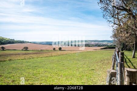 The South Downs, Sussex, England. Ein Sommer ländlichen Blick über die South Downs Landschaft in der südenglischen Grafschaft Sussex. Stockfoto