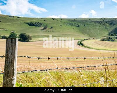 Die englische Landschaft der South Downs mit der alten East Sussex Wahrzeichen Hügelfigur, der lange Mann von Wilmington, sichtbar auf den fernen Hängen. Stockfoto