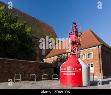 Deutsches Meeresmuseum in der ehemaligen Katharinenkirche. Die Hansestadt Stralsund. Die Altstadt ist UNESCO-Weltkulturerbe Stockfoto