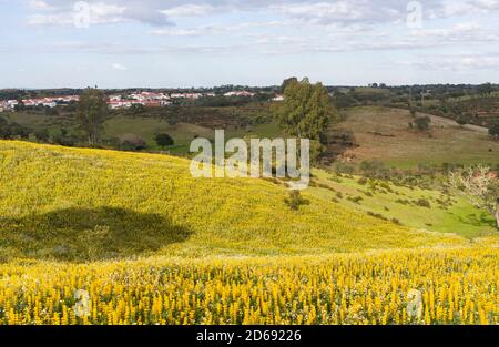 Landschaft mit wildflower Wiese in der Nähe von Mértola im Naturpark Parque Natural do Vale do Guadiana in den Alentejo, Europa, Südeuropa, Por Stockfoto