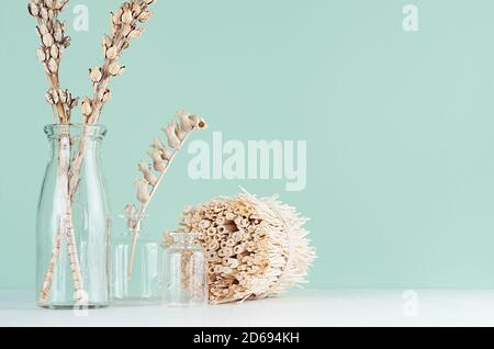 Naturbeige Bio-Accessoires für den Innenraum in trendigen grünen Minze menthe Interieur - getrocknete Pflanzen, Blumen in Flaschen, Zweige Haufen auf weißem Holz sie Stockfoto