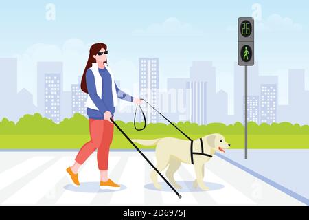 Junge blinde Frau überquert Straße mit Blindenhund. Labrador Retriever hilft behinderten Weibchen auf Fußgängerüberweg. Vektor flach Cartoon illustrat Stock Vektor