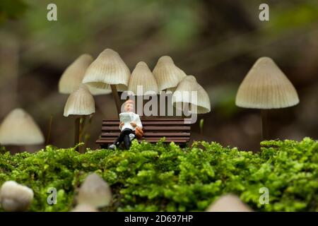 Eine kleine Figur liest die Zeitung und ruht unter der Pilz mycena arcangeliana im Wald in holland Stockfoto
