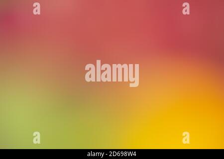 Weiches Pink, Gelb und Grün für Hintergrundeffekte Stockfoto