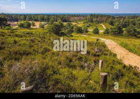 Naturpark Wistinghauser Senne bei Oerlinghausen. Es ist ein Naturschutzgebiet im Teutoburger Wald, Nordrhein-Westfalen, Deutschland Stockfoto