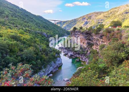 Schöne Schlucht des Moracha Flusses in Montenegro Stockfoto