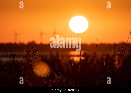 Sea Coast Gras in Sonnenaufgang orange lebendige Himmel Farben und große aufgehende Sonne mit Sonnenstrahl. Unscharfer Hintergrund Stockfoto