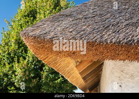 Traditionelles Strohdach aus der Nähe des Hauses in Zaporozhian sich, altes Hausdach im Sommer grün Hintergrund, Staat der Kosaken auf Khortytsia Insel, Großbritannien Stockfoto