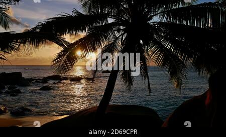 Atemberaubender Sonnenuntergang am tropischen Tusculum Beach im Norden der Insel Mahe, Seychellen mit strahlender Sonne, die durch das Blatt der Kokospalme scheint. Stockfoto