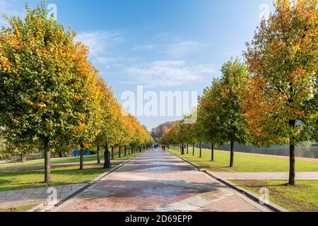 Schöne romantische Herbstallee in einem öffentlichen Park mit bunten Bäumen und Sonnenlicht. Stockfoto