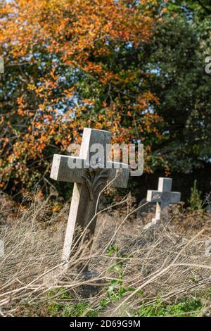 Zwei vernachlässigte Kopfsteine in Form von Kreuzen in Ein Kirchenhof mit hellem Herbstlaub im Hintergrund Stockfoto