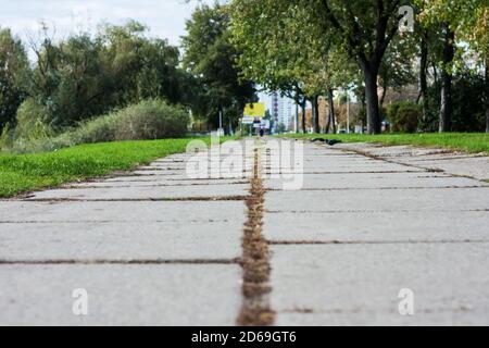 Graue Betonplatten - Gehweg im Park aus nächster Nähe Hintergrund Stockfoto
