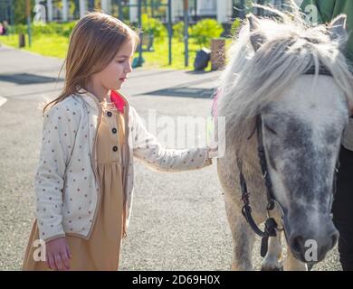 Nettes Mädchen Striche weißen Pony im Park Stockfoto