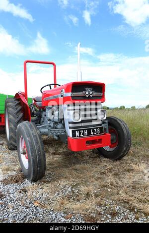1964 Massey Ferguson 135 Traktor Stockfoto