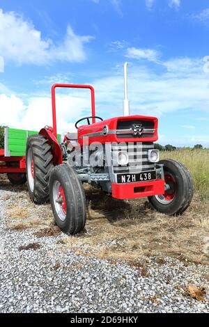 1964 Massey Ferguson 135 Traktor mit Anhänger Stockfoto