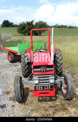 1964 Massey Ferguson 135 Traktor mit Anhänger Stockfoto