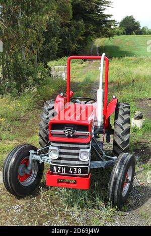 1964 Massey Ferguson 135 Traktor Stockfoto