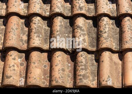 Pantile. Nahaufnahme eines alten und schmutzigen Daches mit Fliesen aus Ton oder Terrakotta (Coppo in italienischer Sprache). Ligurien, Italien, Europa. Stockfoto