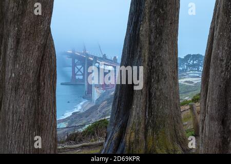 Die Golden Gate Bridge, durch die Zypressen gesehen, San Francisco, Kalifornien, USA, fast im Morgengrauen. Stockfoto