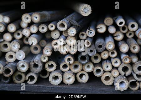 'Bug Snug' Dieses Foto wurde auf einem Campingplatz im Cotswold aufgenommen, dem perfekten Zuhause für Insekten, die von einer örtlichen Schule selbst gemacht wurden. Stockfoto