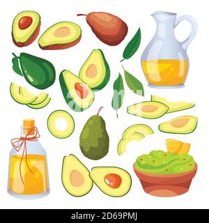 Grüne frische Avocado auf Ast, Fruchtscheiben und Avocado-Öl. Vektor flache Cartoon-Illustration. Isolierte Gemüse-Icons und Design-Elemente. Stock Vektor