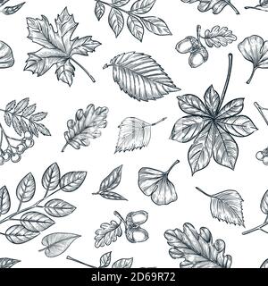 Herbst schwarz weiß Umriss Blätter nahtlose Muster. Vektor handgezeichnete Skizze Illustration von Waldpflanzen. Herbst Natur Hintergrund Design. Modische Mode Stock Vektor