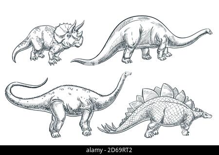 Dinosaurier-Set, isoliert auf weißem Hintergrund. Vektor handgezeichnete Skizzendarstellung. Dino Kollektion, Print Design Elemente. Stock Vektor