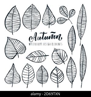 Autumn handgezeichnet Kalligraphie Schriftzug und Aquarell Blätter Set, isoliert auf weißem Hintergrund. Vektor-Doodle Skizze Illustration. Herbstdesign in Naturdesign Stock Vektor