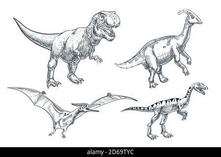 Dinosaurier handgezeichnete Skizze Illustration. Dino Kollektion, isoliert auf weißem Hintergrund. Vektordruck Designelemente. Stock Vektor