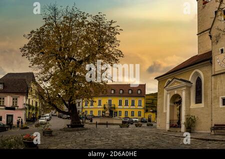 Berühmte Weinberge in Wachau, Spitz, Niederösterreich. Stockfoto