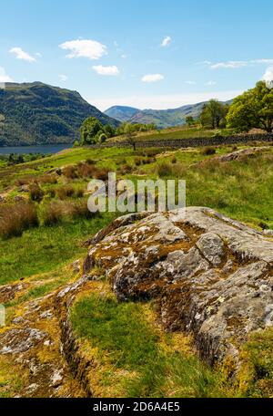 Ländliche Szene bei Ullswater im Lake District Nationalpark Stockfoto