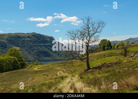 Ullswater Ländliche Szene Cumbria Stockfoto