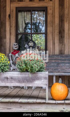 Ein Paar lachende Skelette sitzen auf einer Bank in Vor einem Fenster auf einer Veranda begrüßen die Leute Umgeben von Herbstdekor für Halloween Stockfoto