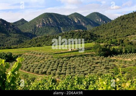 Frankreich Stockfoto