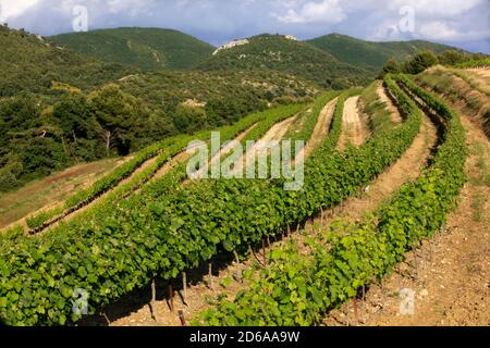 Frankreich Stockfoto