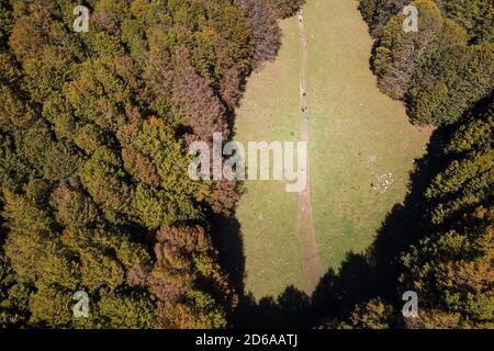 Viggianello, Italien. Oktober 2020. (ANMERKUNG DER REDAKTION: Das Bild wurde mit einer Drohne erstellt.) Ein Blick auf die Wälder von Piano Ruggio auf etwa 1550 Meter hoch, auf die Pollino Berge in Basilicata, Süditalien. Sehr beliebtes Touristenziel das ganze Jahr über. Kredit: Unabhängige Fotoagentur/Alamy Live Nachrichten Stockfoto