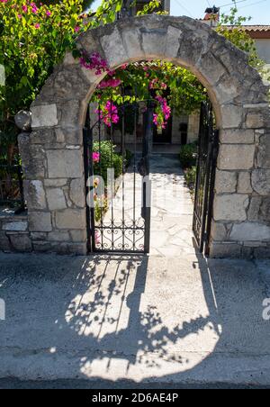 Schöne Bougainvillea wächst auf einem gewölbten Tor in einem zypriotischen Dorf, Paphos Region, Zypern. Stockfoto