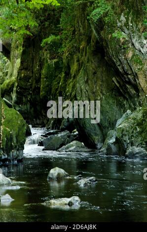 Fairy Glen Wales Stockfoto