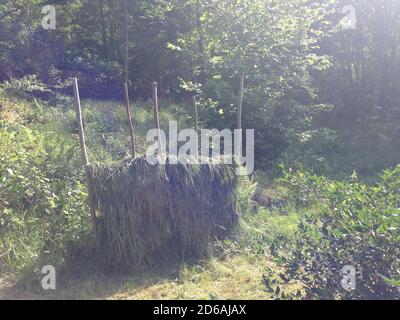 Geschichte, Wissen, Untersuchung, Vergangenheit, Ereignisse, Gedächtnis, Entdeckung, Historiker, Stockfoto