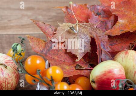 Früchte und Herbstblätter liegen auf einem Holztisch. Stillleben im Herbst. Nahaufnahme. Geschenke der Natur. Stockfoto