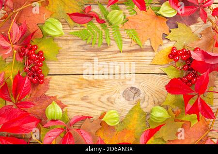 Collage, Rahmen aus herbstlichen hellen Blättern und Beeren auf Holzhintergrund. Studio Foto Stockfoto