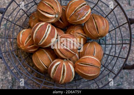 Dekorative getrocknete Orangen Konzept aus Vogelperspektive Stockfoto